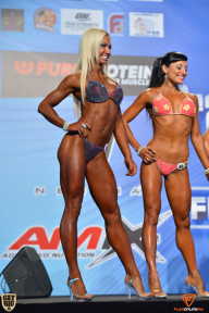 Grand Prix Fitness House Pro - 2014