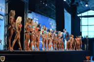 Grand Prix Fitness House Pro - 2014