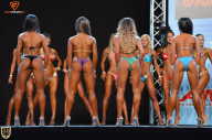 Grand Prix Fitness House Pro - 2014