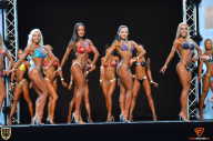 Grand Prix Fitness House Pro - 2014