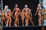 Grand Prix Fitness House Pro - 2014