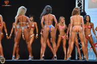 Grand Prix Fitness House Pro - 2014