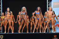 Grand Prix Fitness House Pro - 2014