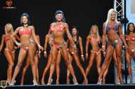 Grand Prix Fitness House Pro - 2014