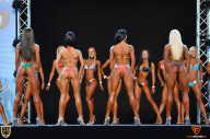 Grand Prix Fitness House Pro - 2014