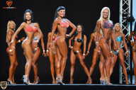Grand Prix Fitness House Pro - 2014