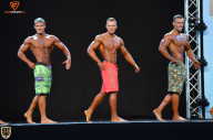 Grand Prix Fitness House Pro - 2014