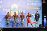 Grand Prix Fitness House Pro - 2014
