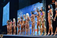Grand Prix Fitness House Pro - 2014