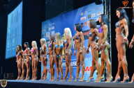 Grand Prix Fitness House Pro - 2014