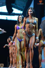 Grand Prix Fitness House Pro - 2014