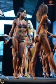 Grand Prix Fitness House Pro - 2014