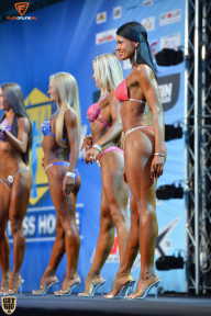 Grand Prix Fitness House Pro - 2014