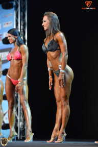 Grand Prix Fitness House Pro - 2014