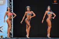 Grand Prix Fitness House Pro - 2014