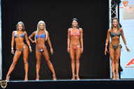 Grand Prix Fitness House Pro - 2014