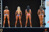 Grand Prix Fitness House Pro - 2014