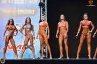 Grand Prix Fitness House Pro - 2014