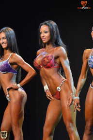 Grand Prix Fitness House Pro - 2014
