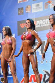 Grand Prix Fitness House Pro - 2014