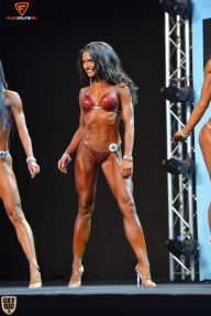 Grand Prix Fitness House Pro - 2014