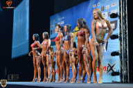 Grand Prix Fitness House Pro - 2014