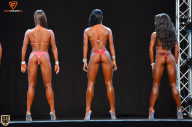 Grand Prix Fitness House Pro - 2014