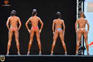 Grand Prix Fitness House Pro - 2014