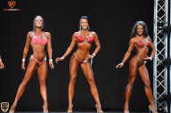 Grand Prix Fitness House Pro - 2014