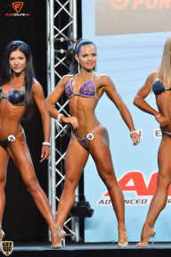 Grand Prix Fitness House Pro - 2014