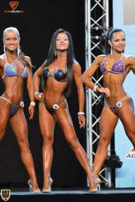 Grand Prix Fitness House Pro - 2014