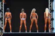 Grand Prix Fitness House Pro - 2014