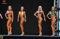 Grand Prix Fitness House Pro - 2014