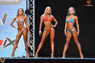 Grand Prix Fitness House Pro - 2014