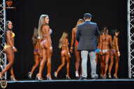 Grand Prix Fitness House Pro - 2014