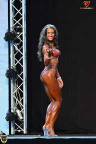 Grand Prix Fitness House Pro - 2014