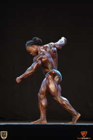 Grand Prix Fitness House Pro - 2014