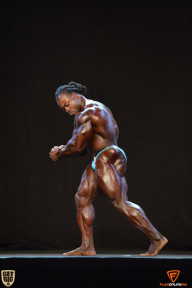 Grand Prix Fitness House Pro - 2014