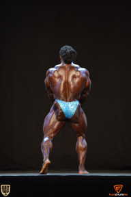 Grand Prix Fitness House Pro - 2014