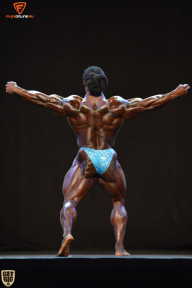 Grand Prix Fitness House Pro - 2014