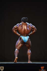 Grand Prix Fitness House Pro - 2014