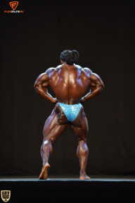 Grand Prix Fitness House Pro - 2014
