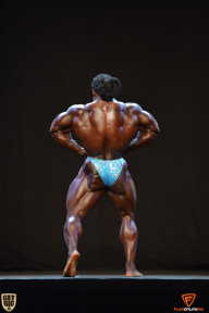 Grand Prix Fitness House Pro - 2014