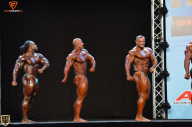 Grand Prix Fitness House Pro - 2014