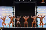 Grand Prix Fitness House Pro - 2014