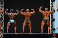 Grand Prix Fitness House Pro - 2014