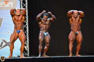 Grand Prix Fitness House Pro - 2014
