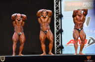 Grand Prix Fitness House Pro - 2014