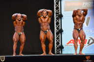 Grand Prix Fitness House Pro - 2014