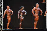 Grand Prix Fitness House Pro - 2014